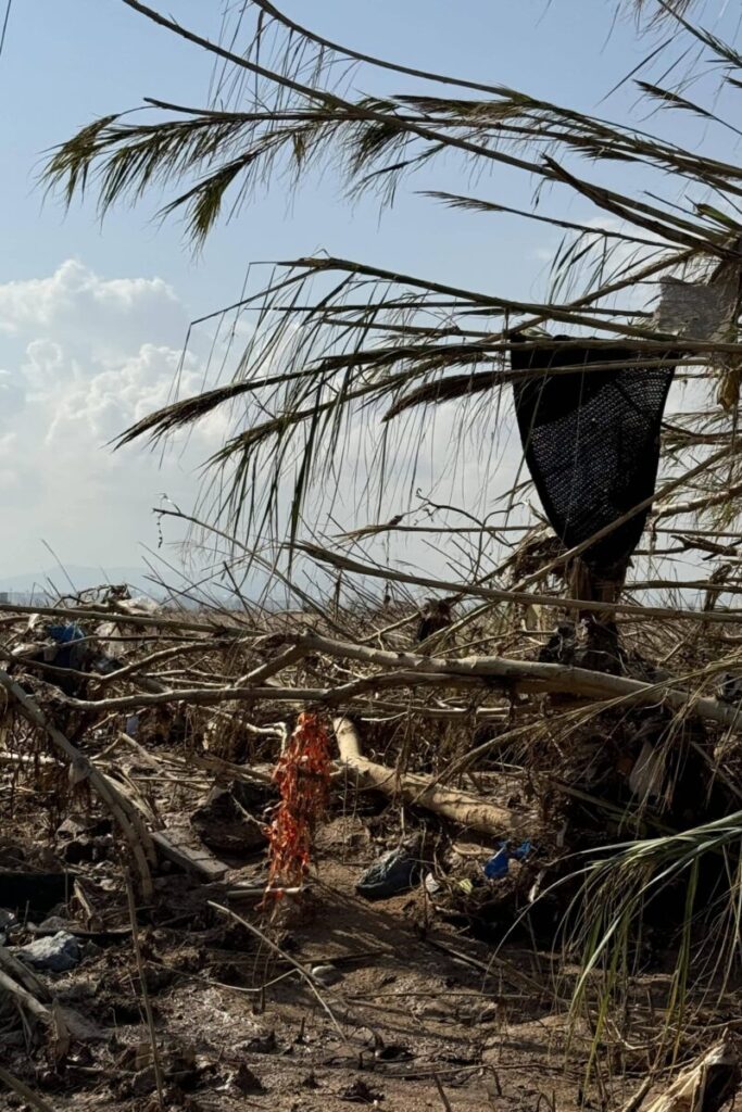 Lo que la dana arrastró a la Albufera - El Tío Pastilla