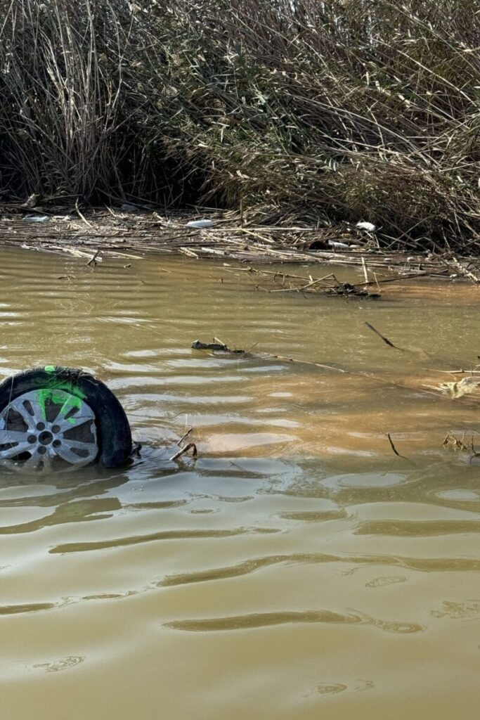 La Albufera tras la dana - El Tio Pastilla